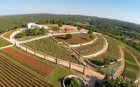 Ulika: Sky, Property, Plant, Tree, Land Lot, Landscape, Rural Area, Agriculture, Urban Design, Field
