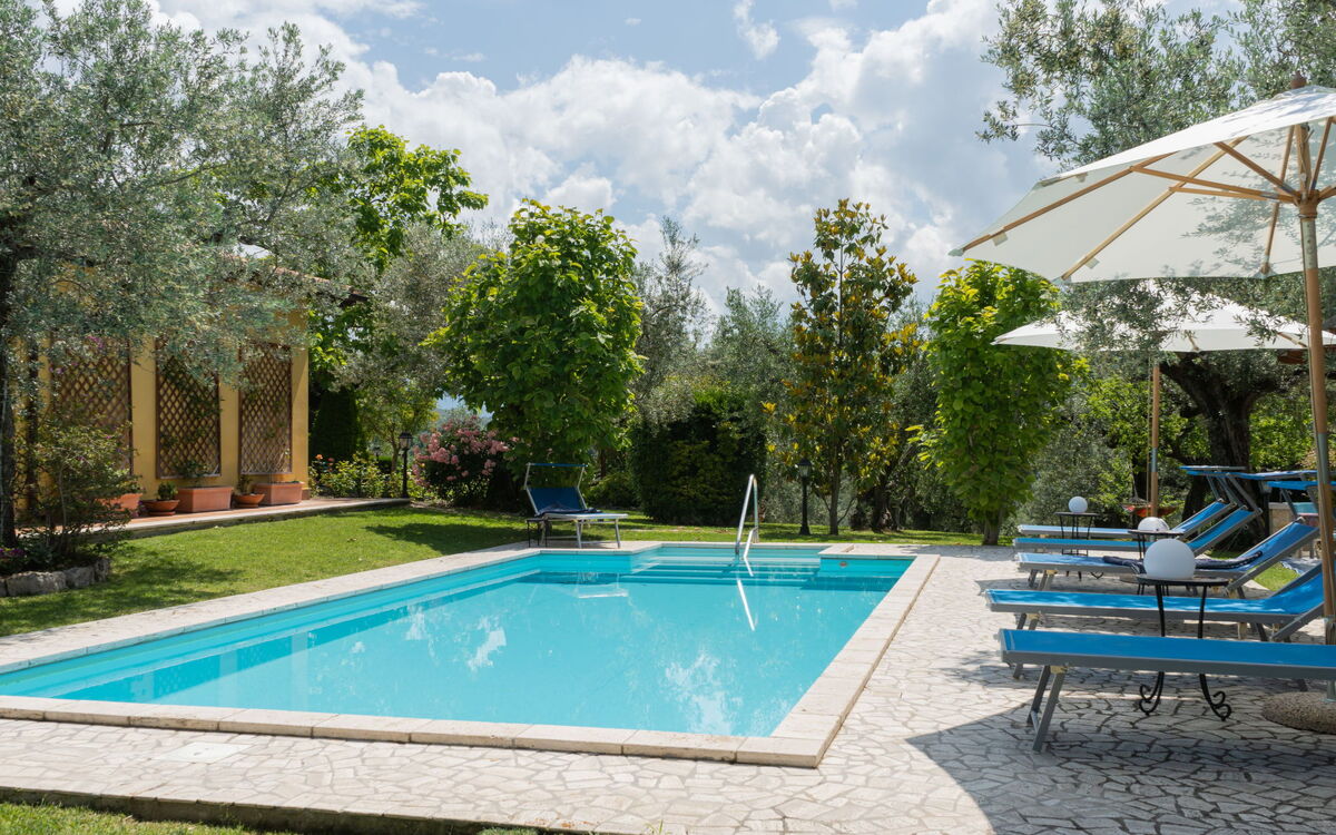 Olive Grove Sabina