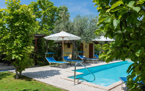Olive Grove Sabina: Plant, Azure, Water, Botany, Shade, Outdoor Furniture, Tree, Sky, Swimming Pool, Leisure