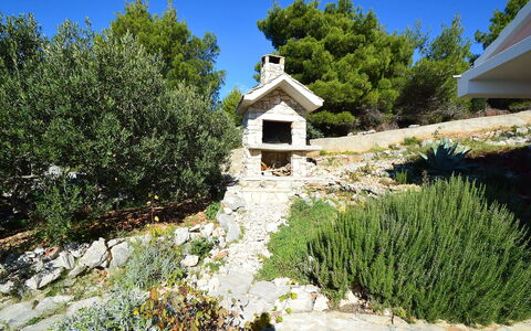 Mira: Plant, Sky, Property, Tree, Land Lot, Natural Landscape, Biome, Shrub, Groundcover, Cottage