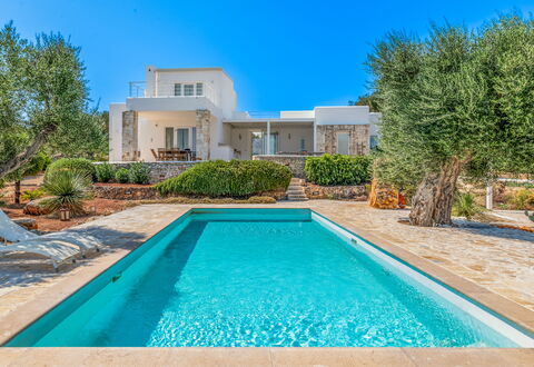 Villa Butterfly: Blue, Swimming Pool, Estate, Garden, Resort, Landscaping, Farmhouse, Villa, Eco Hotel, Mansion