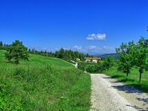 Tizzauli