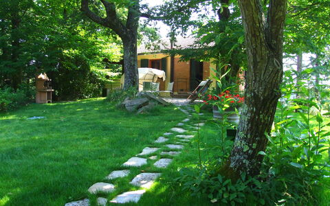 Villa La Quercia: Natural Landscape, Nature, Green, Yard, Vegetation, Grass, Property, Tree, Garden, Backyard
