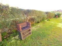 Accommodation:&nbsp;Trilo b 3