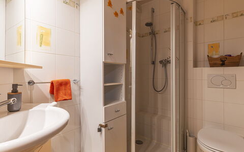 Bouquetins: Shower Head, Property, Plumbing Fixture, Bathroom, Tap, Shower, Purple, Shower Bar, House