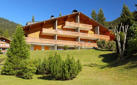 Cristel 2: Sky, Plant, Building, Tree, Natural Landscape, Window, House, Land Lot, Wood, Larch