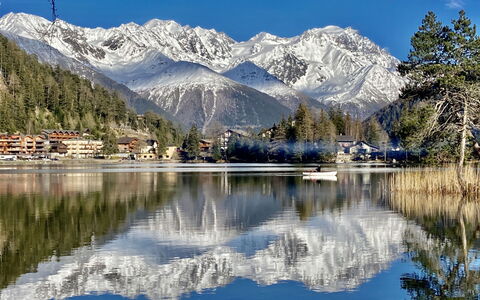 Champex 50: Water, Sky, Mountain, Snow, Plant, Natural Landscape, Natural Environment, Larch, Lake, Tree