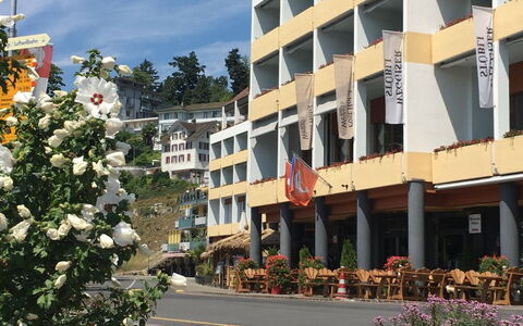 Apartment 10: Flower, Building, Plant, Cloud, Sky, Window, Property, Botany, Vegetation, Architecture