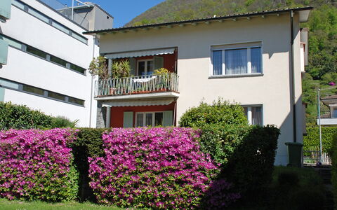 Altorfer: Flower, Plant, Sky, Building, Property, Window, House, Grass, Real Estate, Groundcover