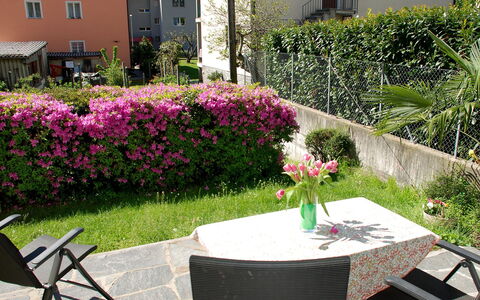 Altorfer: Plant, Flower, Property, Window, Building, Table, Botany, Chair, Petal, Outdoor Table