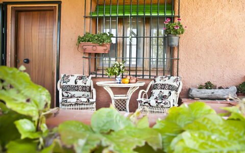 El Cerrillo - Cerro Negro: Plant, Building, Flowerpot, Window, Flower, Houseplant, Door, Wood, Lighting, Vegetation