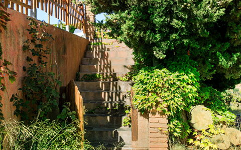 El Cerrillo - Cerro Negro: Green, Shrub, Garden, Stairs, Backyard, Brick, Shade, Landscaping, Home Fencing