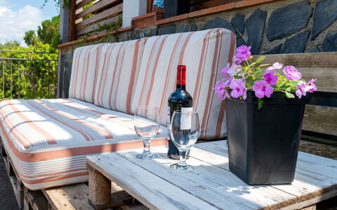Ginesteres: Flower, Plant, Property, Furniture, Table, Textile, Outdoor Furniture, Wood, Interior Design, Flowerpot