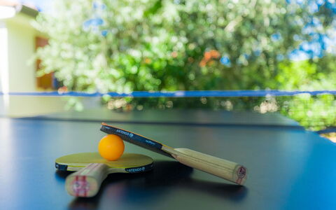 Marina: Wood, Table, Art, Leisure, Glass, Recreation, Plastic, Landscape