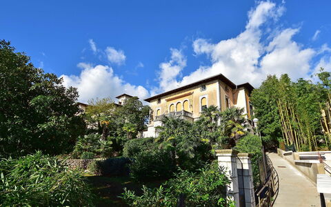Opatija 134: Cloud, Sky, Building, Plant, Window, Vegetation, House, Tree, Natural Landscape, Neighbourhood