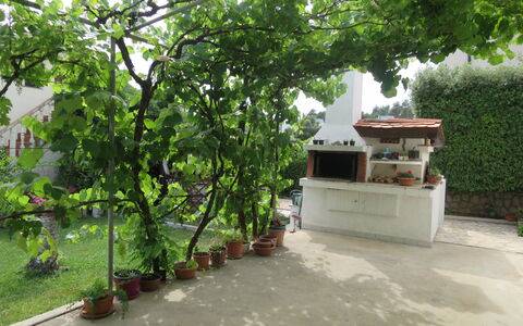 Lidija: Plant, Flowerpot, Vegetation, Houseplant, Tree, Woody Plant, Shade, Building, Leisure, Urban Design