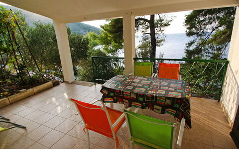 Korčula Prigradica 300: Plant, Furniture, Table, Chair, Outdoor Furniture, Wood, Outdoor Table, Shade, Porch, Interior Design