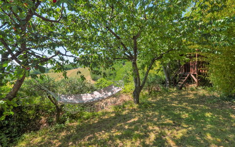 Casale Antica Pietra: Plant, Plant Community, Natural Landscape, Wood, Tree, Trunk, Land Lot, Shade, Twig, Deciduous