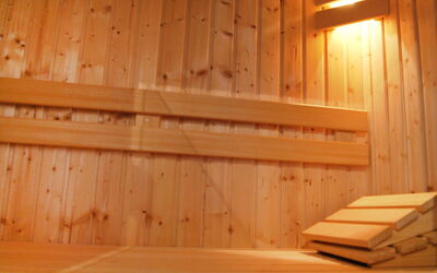 Tapuit Sauna 8