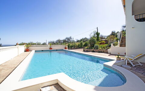 Vista: Water, Plant, Building, Sky, Daytime, Property, Blue, Azure, Swimming Pool, Skyscraper