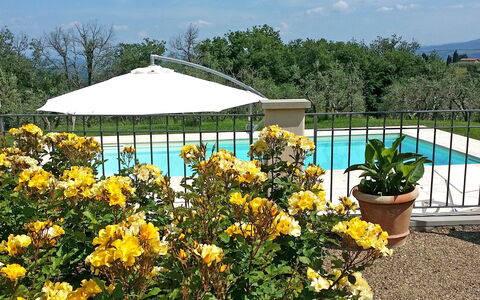 Villa Gaville: Flower, Garden, Plant, Botany, Yellow, Shrub, Gazebo, Canopy, Botanical Garden, Spring