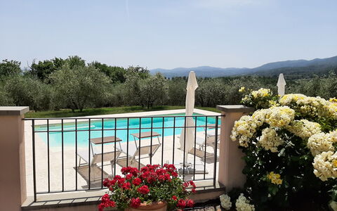 Villa Gaville: Flower, Plant, Sky, Water, Flowerpot, Houseplant, Tree, Landscape, Real Estate, Rectangle