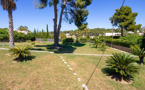 Cala Vista: Plant, Sky, Property, Plant Community, Tree, Natural Landscape, Vegetation, Land Lot, Shade, Arecales