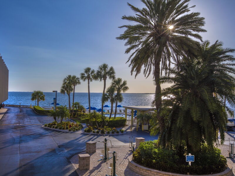 Accommodation:&nbsp;Tampa Waterfront 100.6