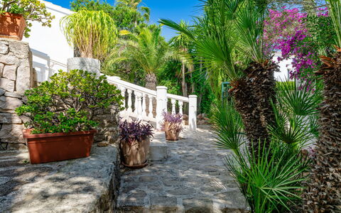 Karima: Shrub, Garden, Flowerpot, Landscaping, Resort, Houseplant, Shade, Hacienda