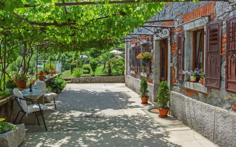 Lea: Plant, Property, Botany, Building, Road Surface, Shade, Flowerpot, Public Space, Tree, Leisure