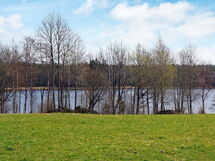 Rörvik