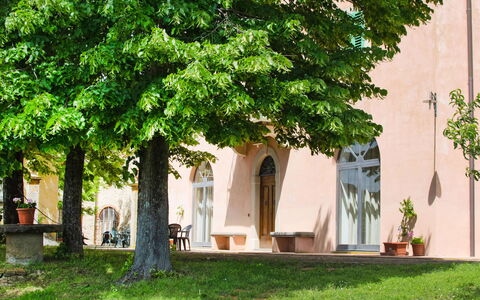 Barberino Valdelsa 155: Plant, Building, Window, Leaf, Tree, House, Shade, Grass, Trunk, Facade