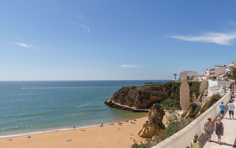 Dream View 50M from the Beach: Cloud, Water, Sky, Azure, Beach, Coastal And Oceanic Landforms, Terrain, Horizon, Tree
